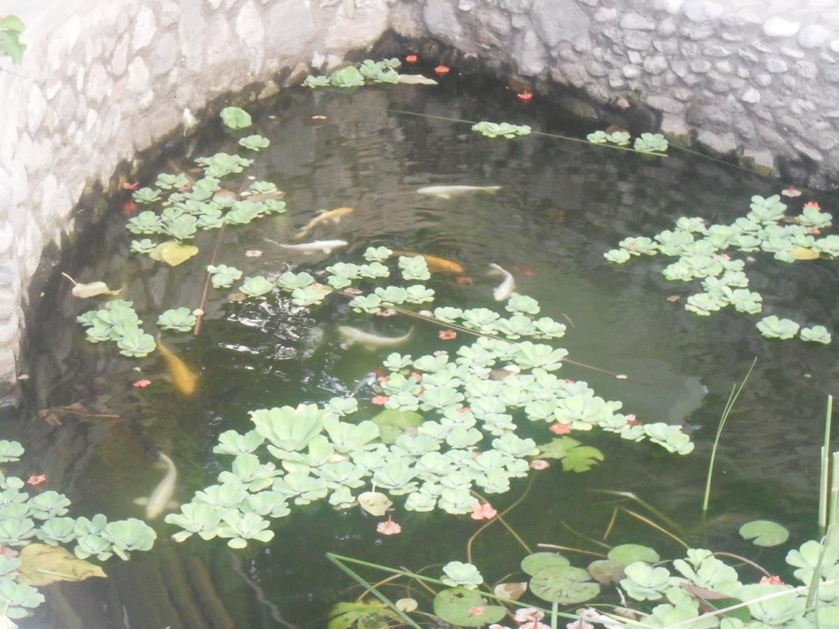 Garden Roomz Oman Nocleg ze śniadaniem Maskat