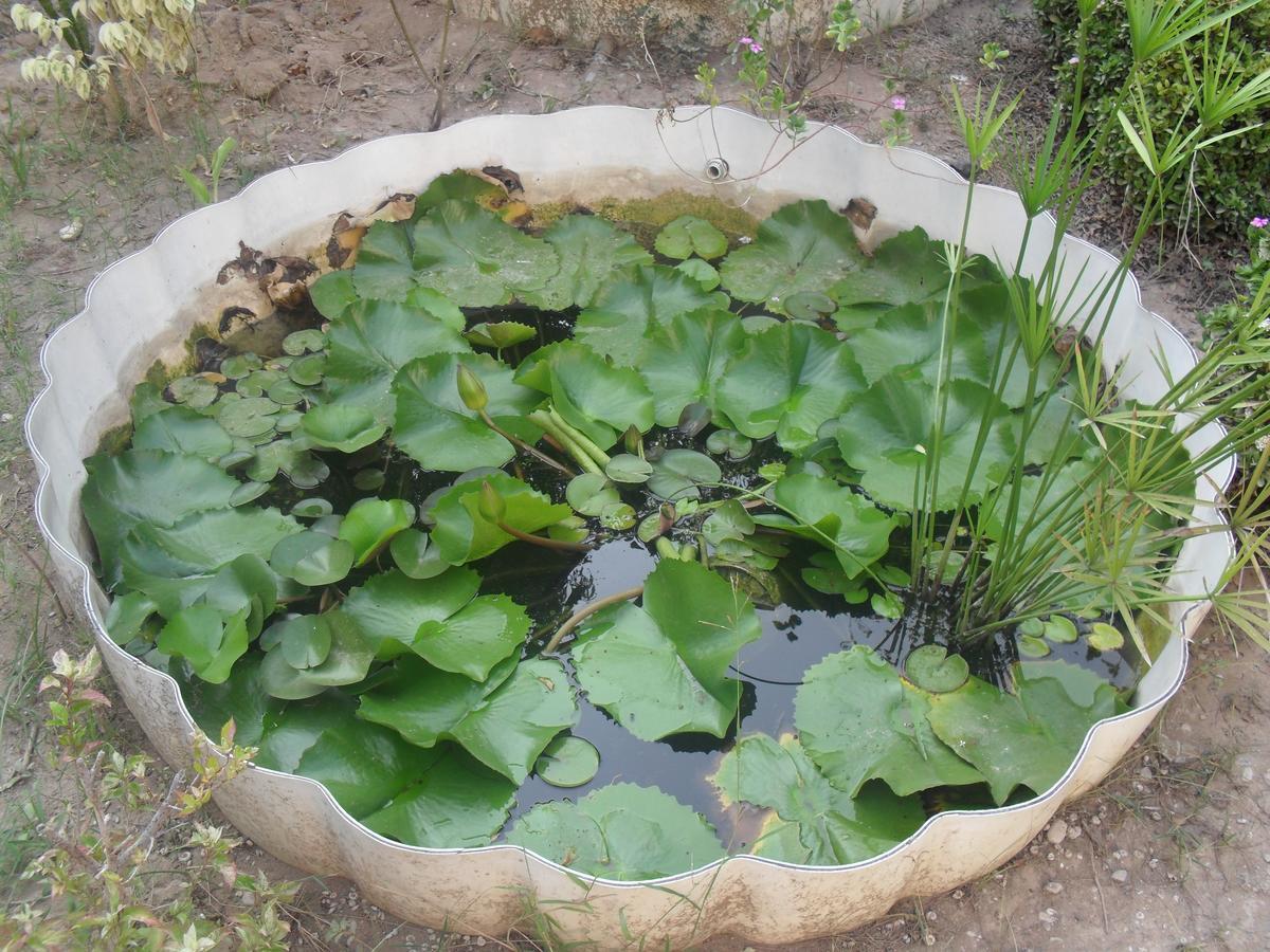 Garden Roomz Oman