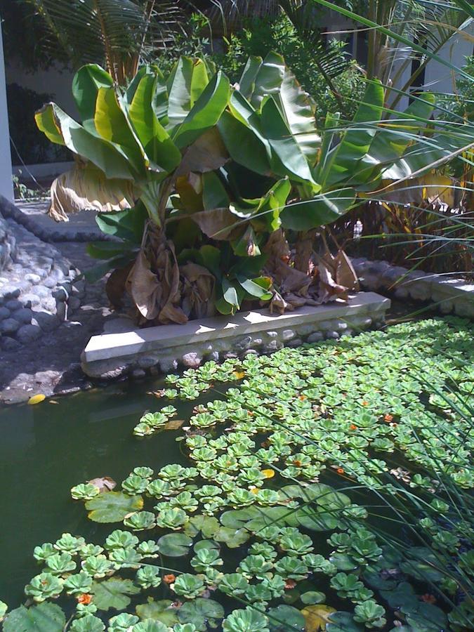 Couette-café Garden Roomz Oman