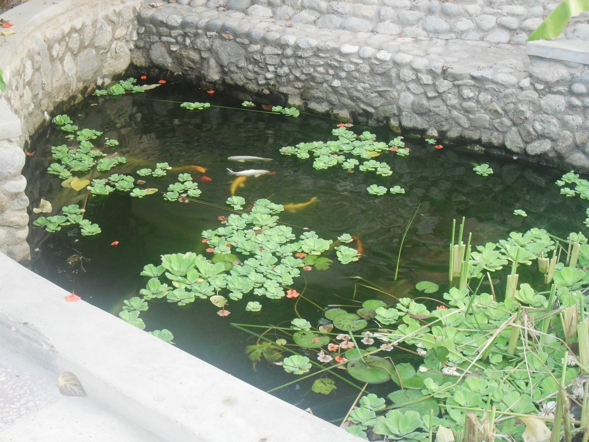 Nocleg ze śniadaniem Garden Roomz Oman 2*