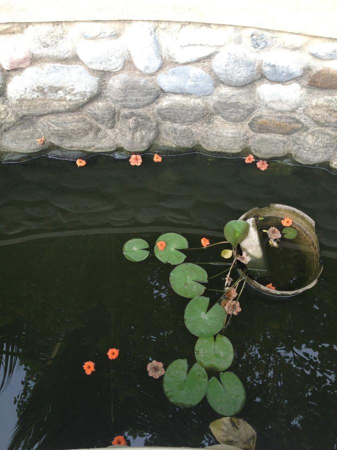 Bed & Breakfast Garden Roomz Oman