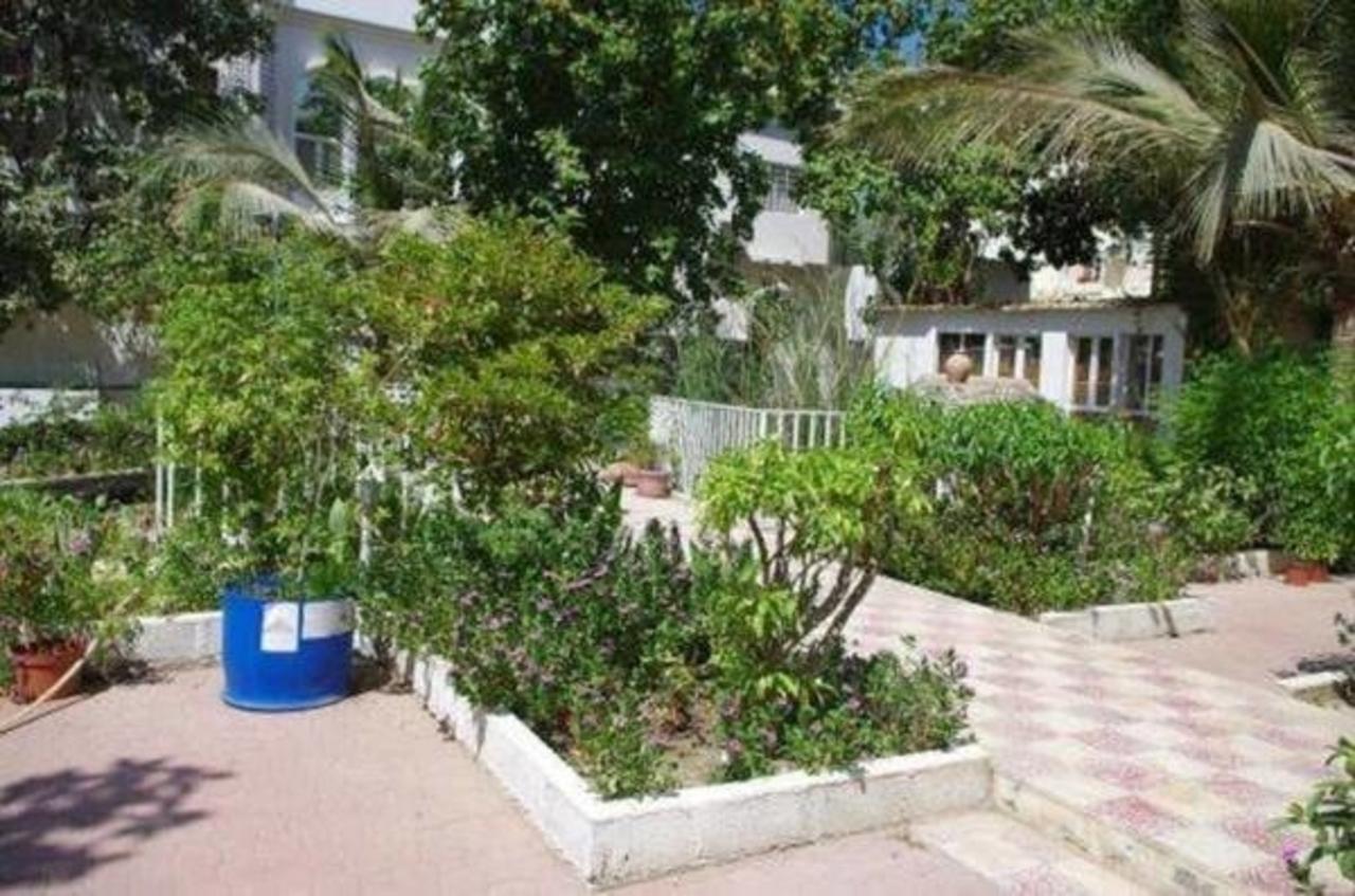 Bed & Breakfast Garden Roomz Oman